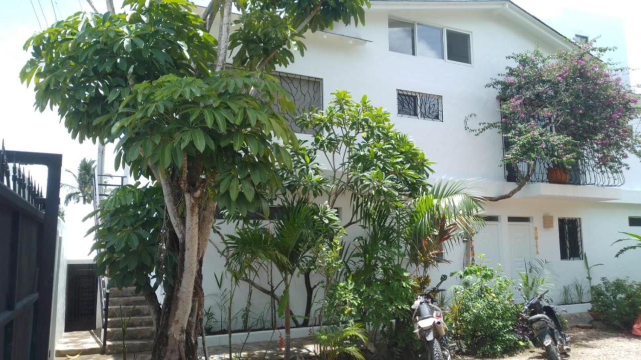 New Moringa Apartment Las Terrenas Exterior photo