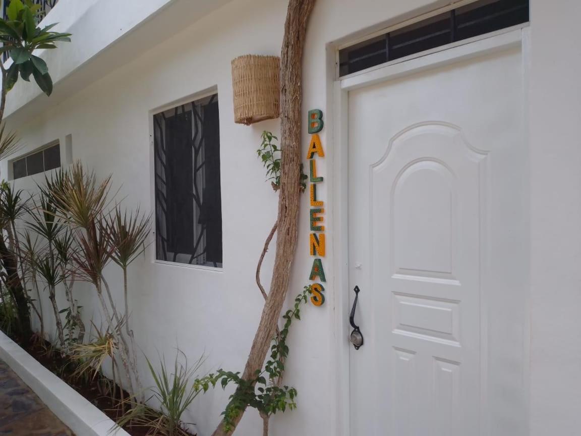 New Moringa Apartment Las Terrenas Exterior photo