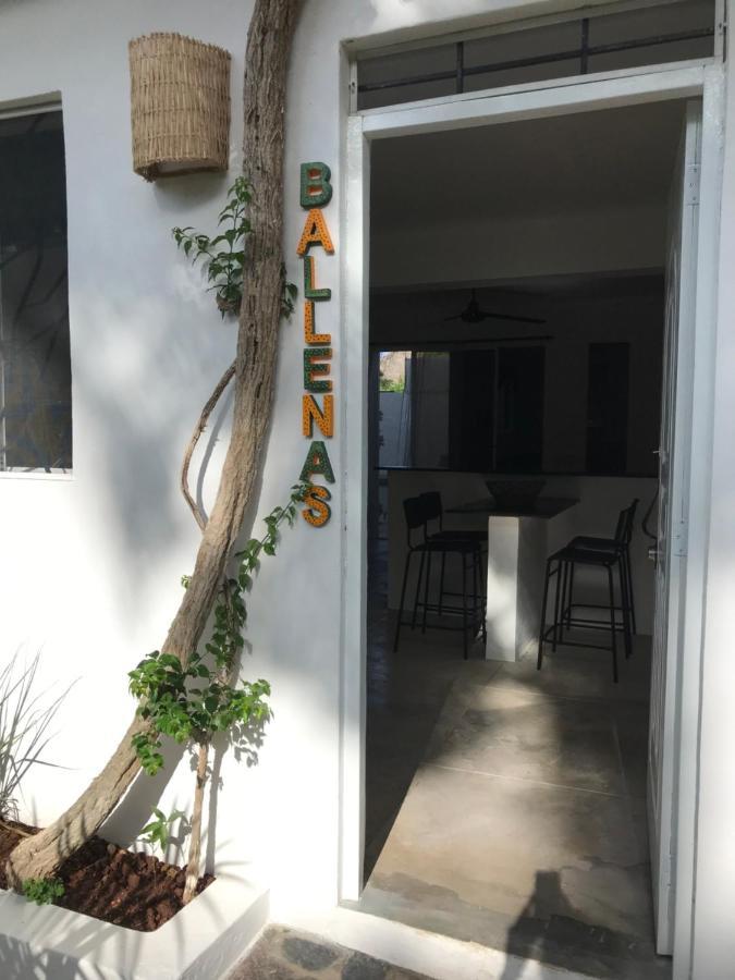 New Moringa Apartment Las Terrenas Exterior photo