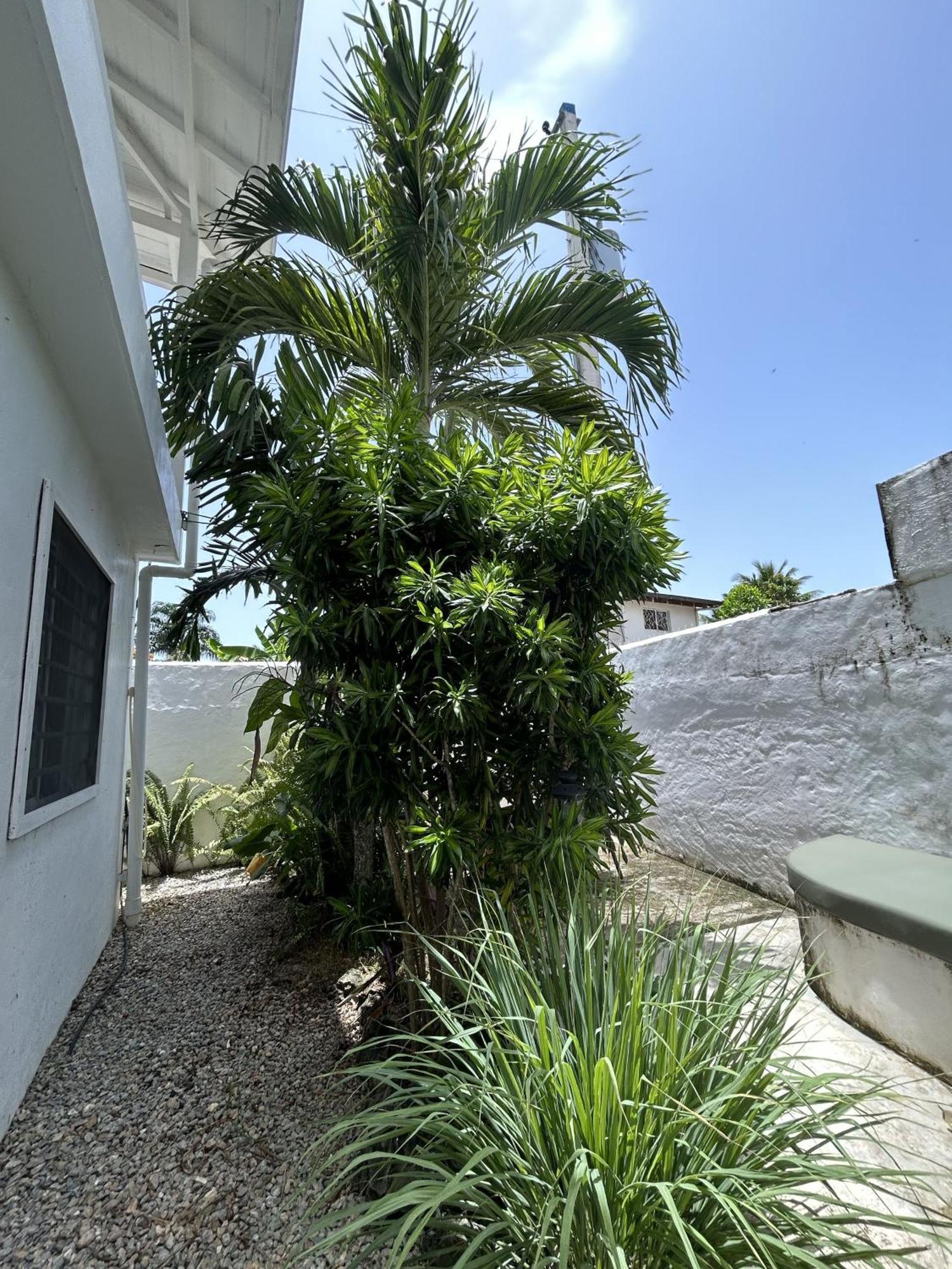New Moringa Apartment Las Terrenas Exterior photo